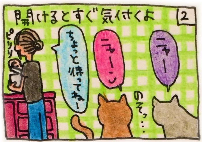 ほっこりねこマンガ