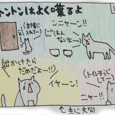 それぞれのねこタイプ (Various Type of Cat)