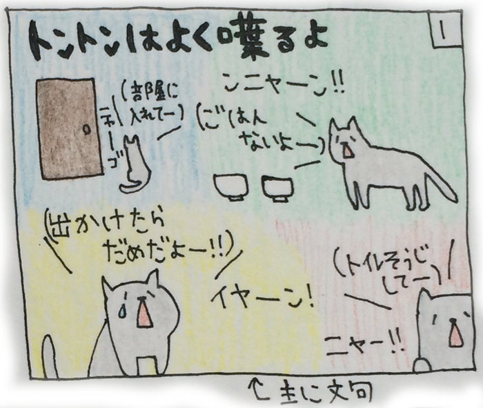 それぞれのねこタイプ (Various Type of Cat)