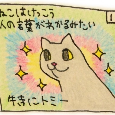 ねこかしこい (Cats are Smart)