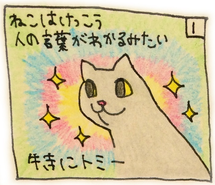 ねこかしこい (Cats are Smart)